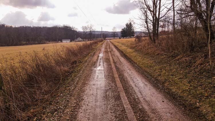 Hunting land with deer and turkey habitat