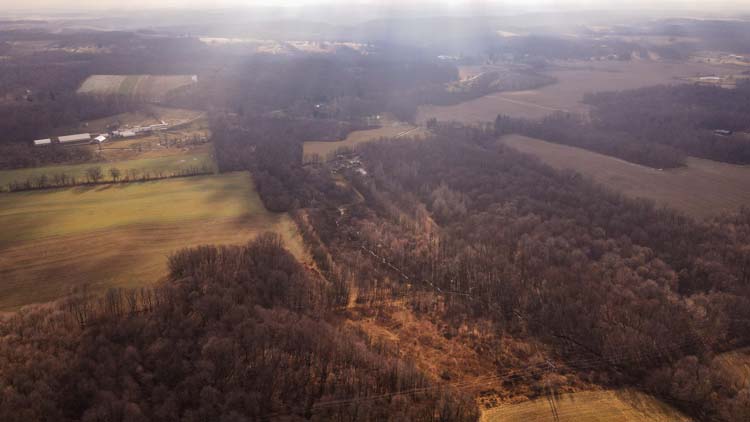 Open pasture with timber backdrop