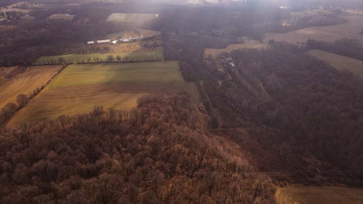 Trail access through wooded hillside