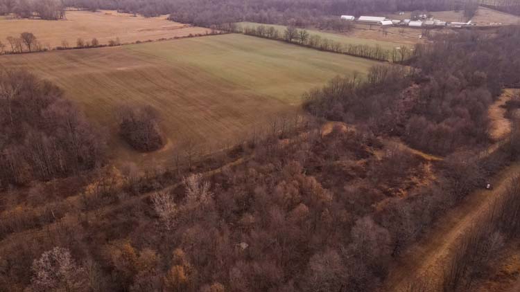 Mature oak and hickory trees
