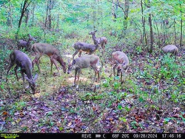 Agricultural field ready for crops