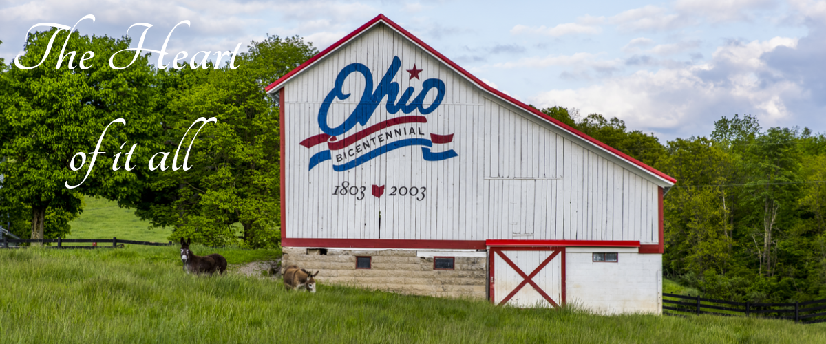 Barn Sellers