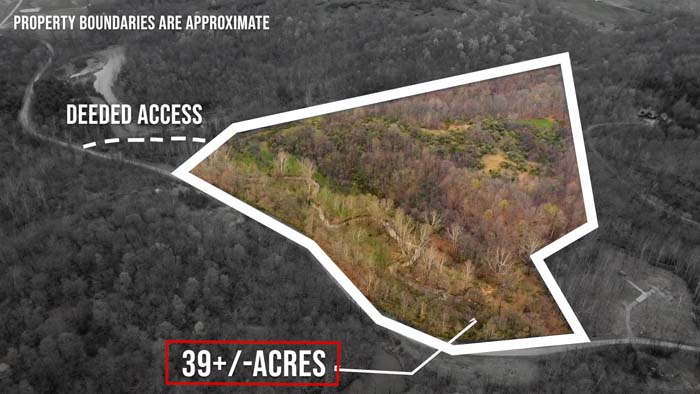 Wooded trails on Possum Hollow Rd, Athens Co.
