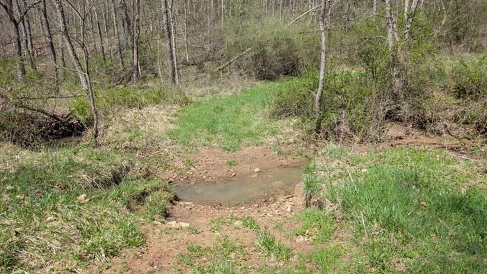 Edge of former meadow area.