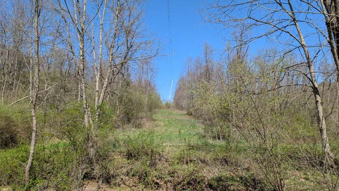 Private wooded lane under canopy.