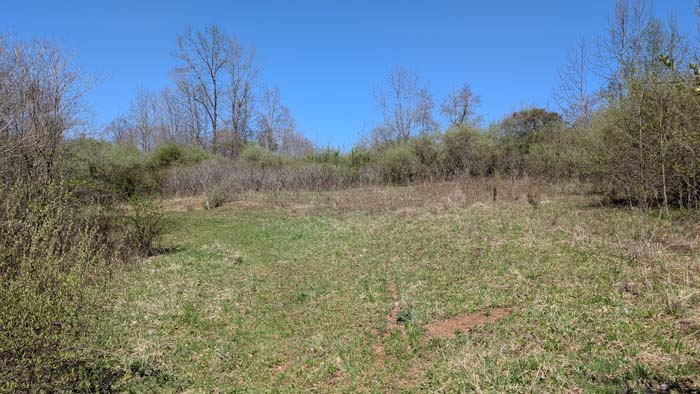 View from the back of the property.
