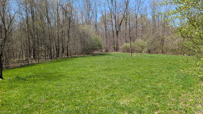 Path leading toward second food plot.