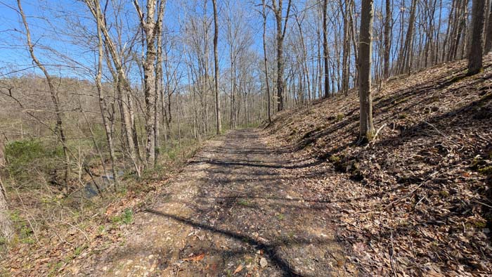 Natural clearing for food plot.