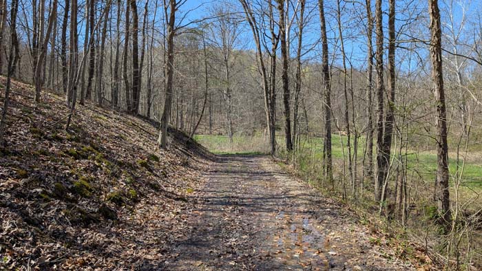 Stream flowing through wooded terrain.