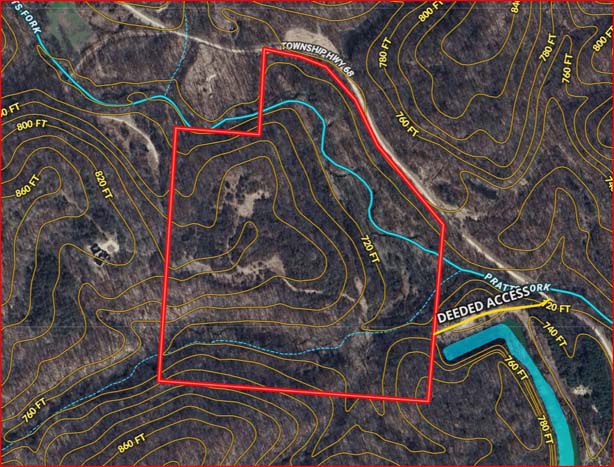 Dense cover on west property line.