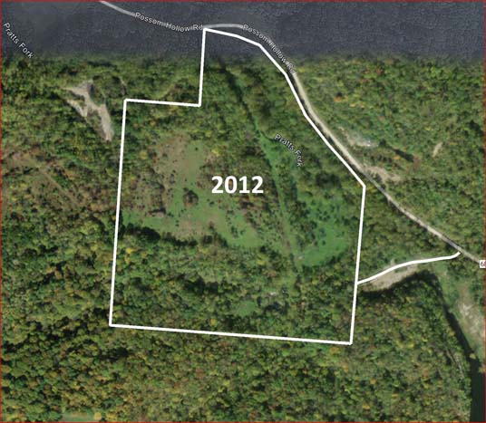 Natural creek junction on site.