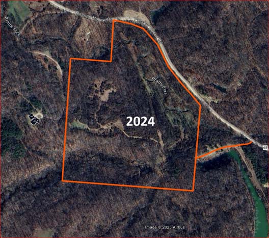 Flat building site near timberline.