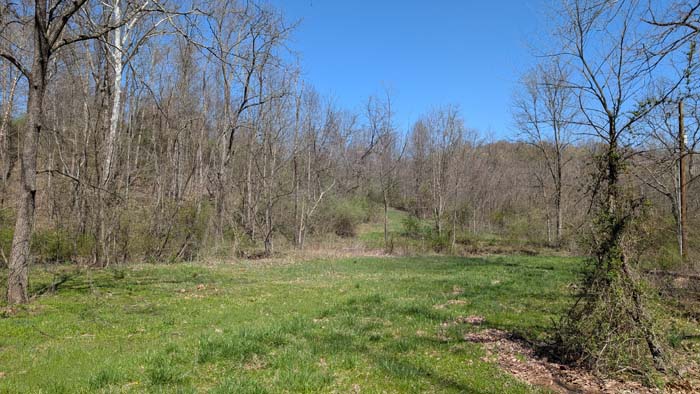 Timber and trail mix across the acreage.