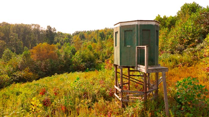 Ridgetop setting ideal for cabin or home build site