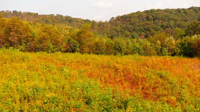 Gated access to private hunting property in Jackson County