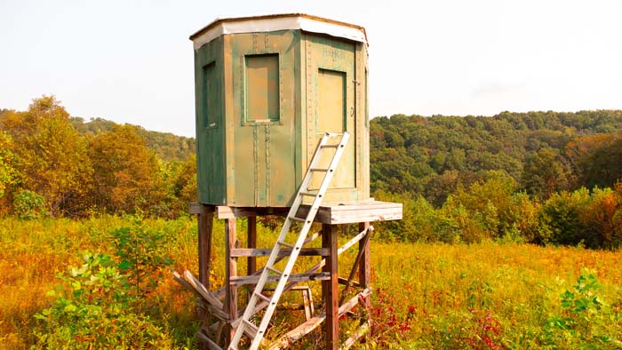 Diverse terrain with draws, saddles, and ridges