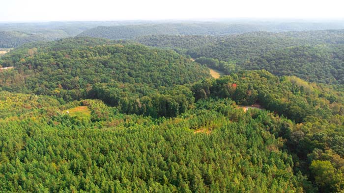 Strategic food plot location on flat ridge top