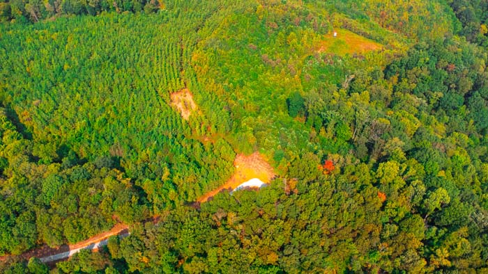Scenic overlook of remote forested valley