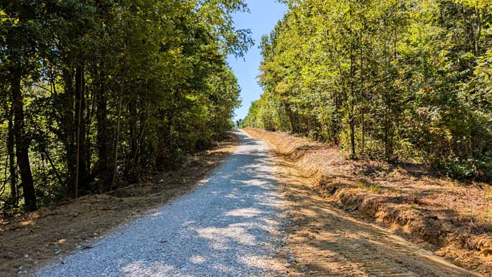 Hunting land with zero signs of EHD in 2023 map