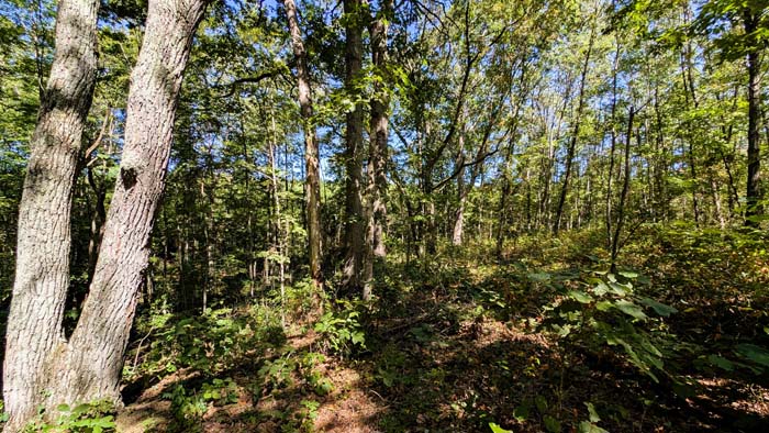 Remote property entrance with long gravel base