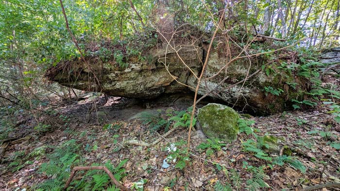 Stone base trail climbing wooded slope