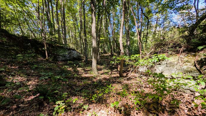 Half-mile road frontage along quiet rural route