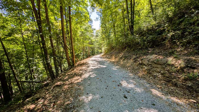 Secluded build site surrounded by timber