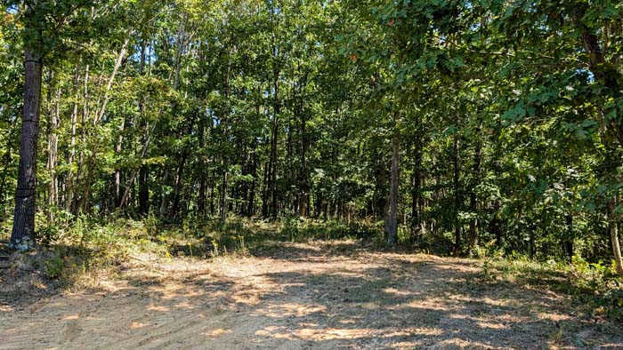 Draw and hillside with natural travel corridors