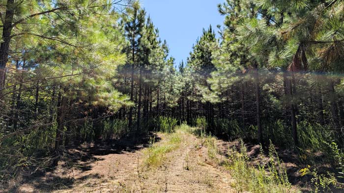 Eastern Ohio hunting land with build potential