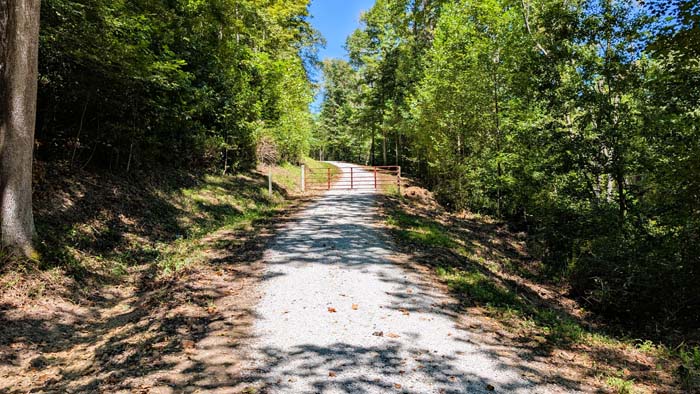 Seller-managed timber with natural regeneration