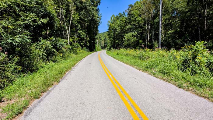Elevated ridge with scenic forest views
