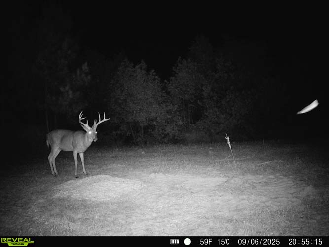 Crossover trail with soft slope entry