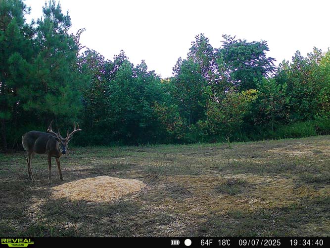 High elevation ridgetop in quiet location