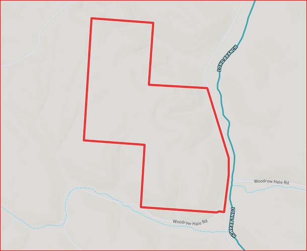 Secluded food plot opportunity near pine sanctuary