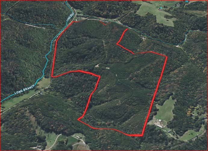 View of ridge trail cutting across timber block