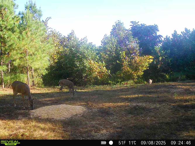 Natural funnels formed by terrain elevation changes