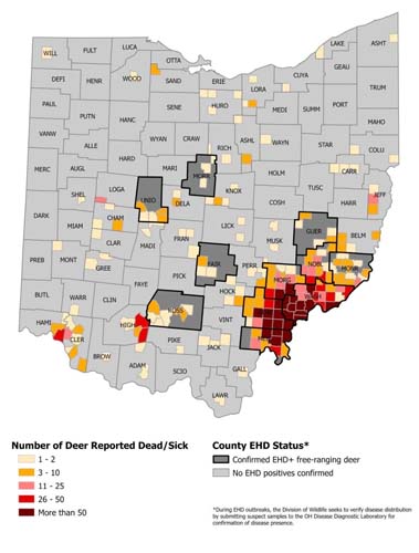 Trail leads to scenic southern Ohio ridge system
