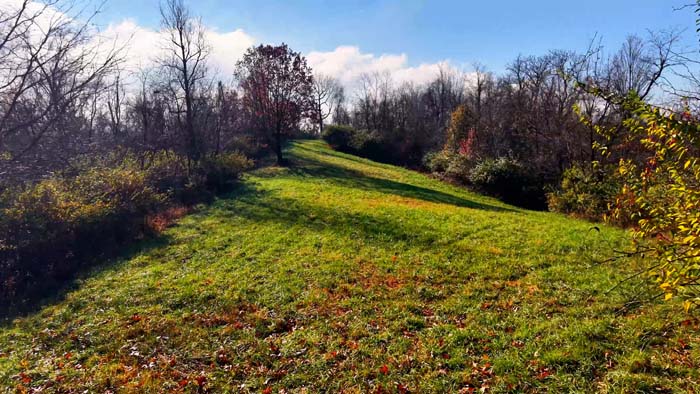 Timber investment property in Utica and Marcellus Shale Play