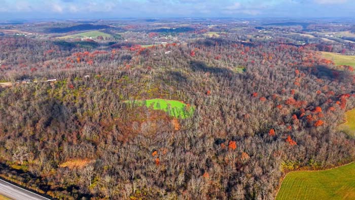 Trail access through hardwood ridge system