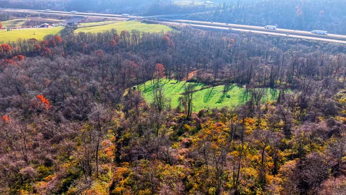 Elevated ridge with potential cabin site