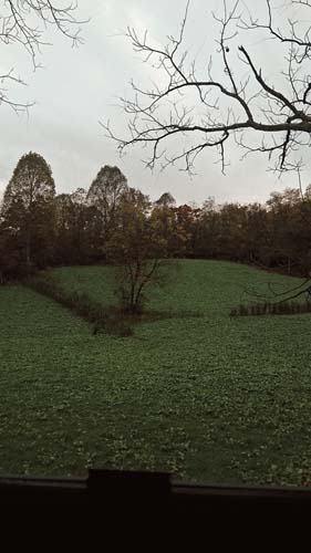 Muskingum County timber stand with long-term value