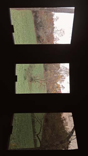 Deep wooded hollows ideal for whitetail movement