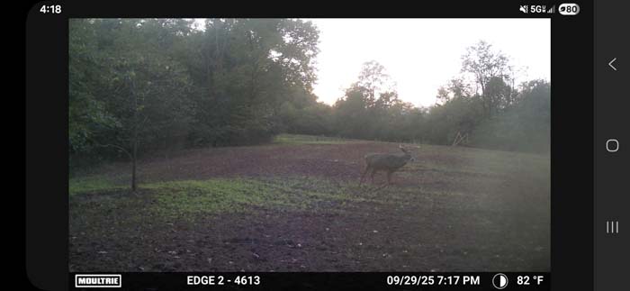 Unbroken Appalachian forest landscape