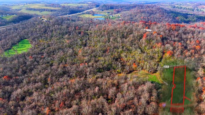 Maturing oak hickory timber on Muskingum County acreage