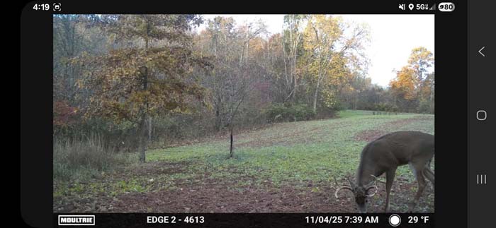 Ridge spine suitable for off-grid cabin