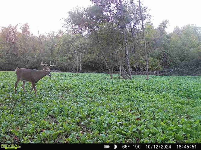 Muskingum County recreational property