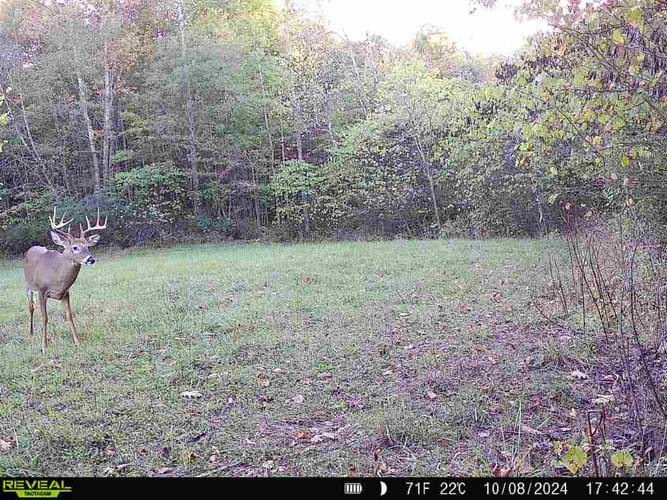 Topography featuring ridges and deep hollows