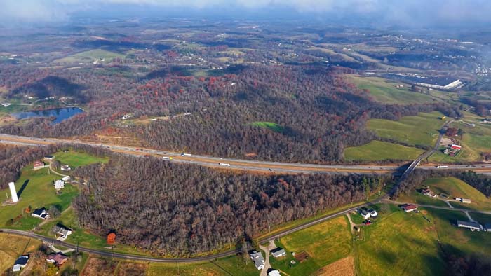 Mature hardwood canopy on Appalachian ridge