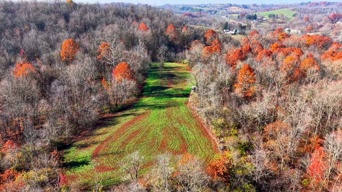 Seasonal creek running through Rix Mills Road property