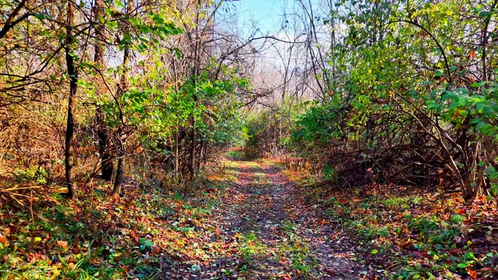 Ridge top cabin or camp site location Muskingum County